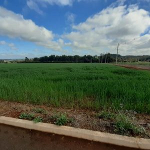 Leonel efetiva  doação de  área para empresa Pecuária Nutrição Animal Ltda