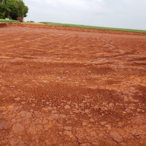 Prefeitura já trabalha no terreno onde se instalará fábrica de ração