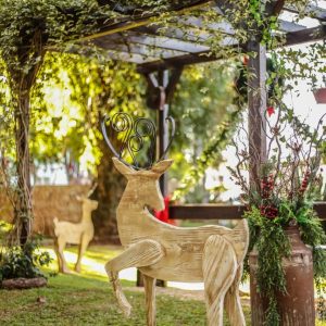 Decoração de Natal em Tuparendi  mais uma vez encanta a todos