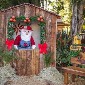 Decoração de Natal em Tuparendi  mais uma vez encanta a todos