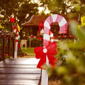 Decoração de Natal em Tuparendi  mais uma vez encanta a todos