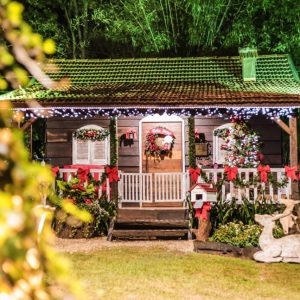 Decoração de Natal em Tuparendi  mais uma vez encanta a todos