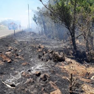 Incêndio de grandes proporções atinge vegetação