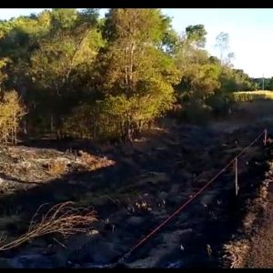 Incêndio de grandes proporções atinge vegetação