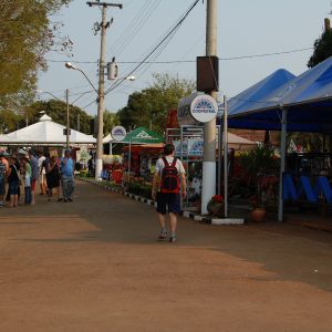 FICAT lança nova logomarca hoje a noite