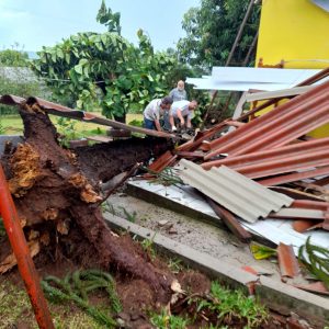 Ventos fortes voltam a atingir município de Porto Mauá