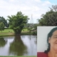 desaparecida