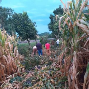 Dois jovens morrem em acidente em São Martinho