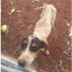 39fbba79-cff0-45c8-955a-184d83a57a54