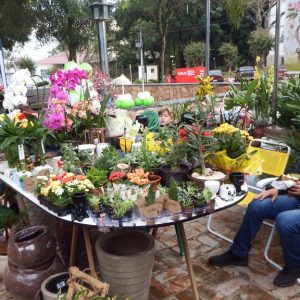 Brique  na Praça movimentou o centro de Tuparendi neste domingo