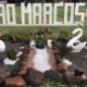 são marcos 1