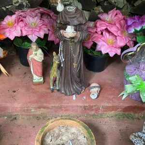 Depredação da estátua de São Francisco de Assis em gruta de Tuparendi causa indignação