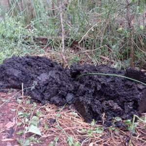 Retirado material de composteira criada no ano passado em Porto Mauá