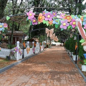 Mutirão para terminar a decoração na Praça Aquiles Turra