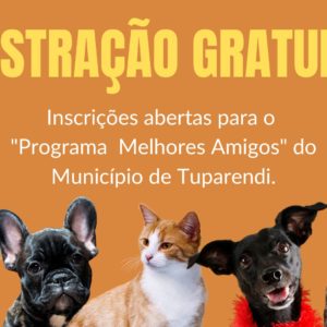 Prefeitura de Tuparendi vai promover ação gratuita de castração de cães e gatos