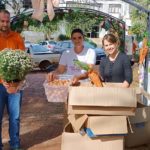 Mutirão para terminar a decoração na Praça Aquiles Turra