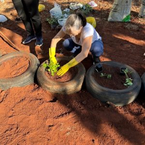 Prefeitura  ofereceu curso básico de plantas medicinais, condimentares e aromáticas