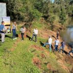 Ação de repovoamento de peixes em afluentes do Rio Uruguai em Porto Mauá
