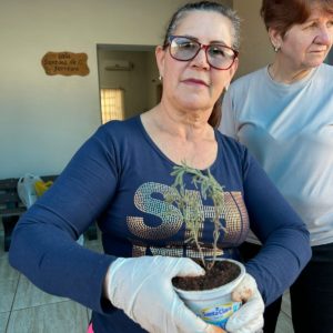 Prefeitura  ofereceu curso básico de plantas medicinais, condimentares e aromáticas