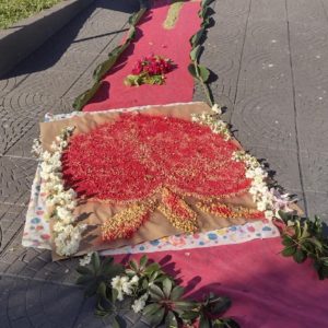 Tradição e fé na celebração de Corpus Christi em Tuparendi