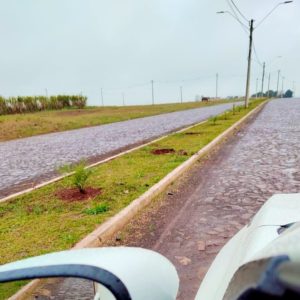 Plantas são roubadas de canteiros públicos em Tuparendi.