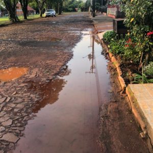 Vereadora Daiane Tibulo solicita melhorias na Rua Amazonas