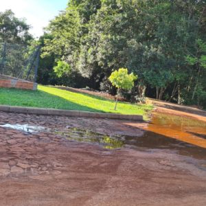 Vereadora Daiane Tibulo chama atenção para água acumulada em rua no centro da cidade