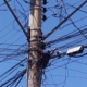 8fec9663-25d6-47b3-ba9e-4086a3e17b10