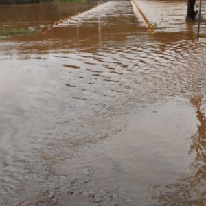 Veja como foi a 57ª Sessão Ordinária da Câmara de Porto Mauá