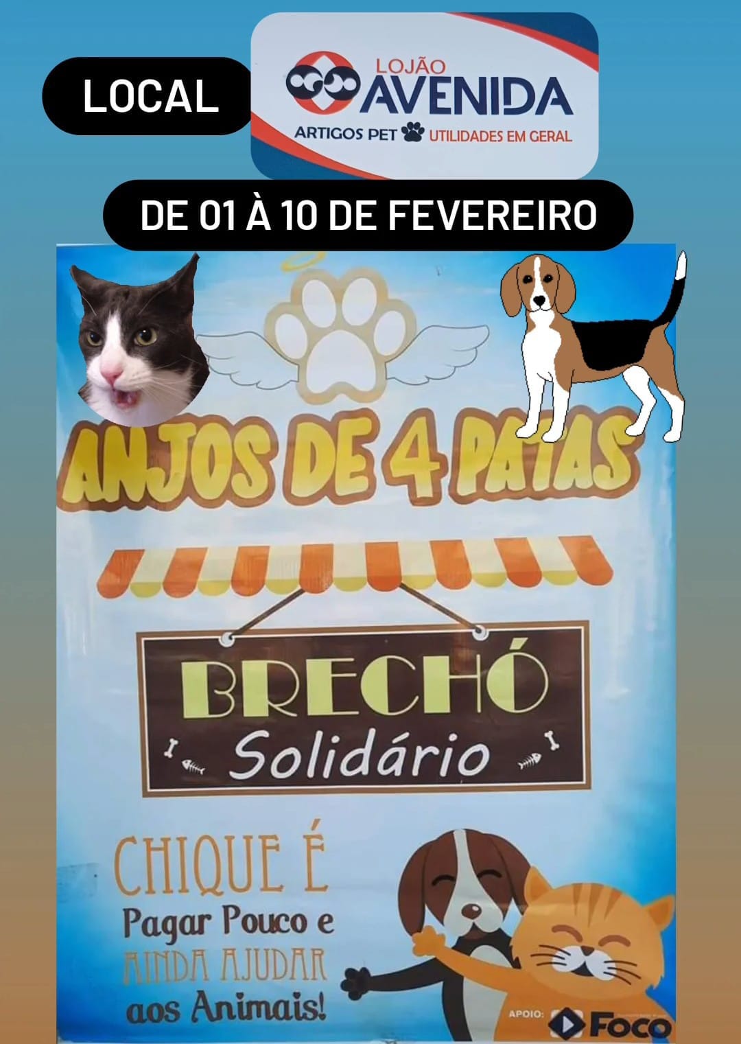 ONG Anjos de Quatro Patas faz campanha para poder comprar ração para os animais