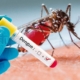 dengue1_5ccba7fb178f3