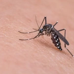 Dengue: Tuparendi chega a quase 100 casos e Porto Mauá mais 200