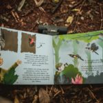 Projeto Dispersar lança 2 Livros  sobre as aves da Região Fronteira Noroeste/RS