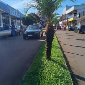 Semana terá predominância do sol em Tuparendi, Tucunduva e região