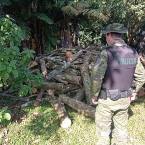 Brigada Militar apreende caminhão carregado com lenha nativa em Porto Mauá