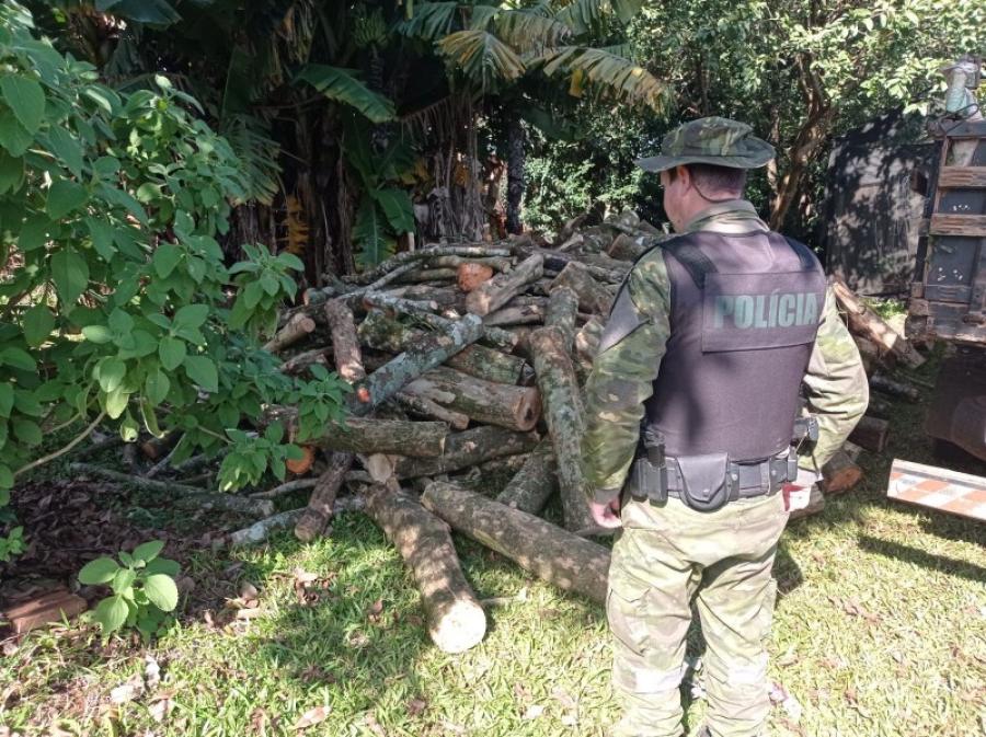 brigada-militar-de-santa-rosa-caminhao-carregado-com-lenha-nativa-em-porto-maua-131b8