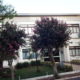DSCF8090