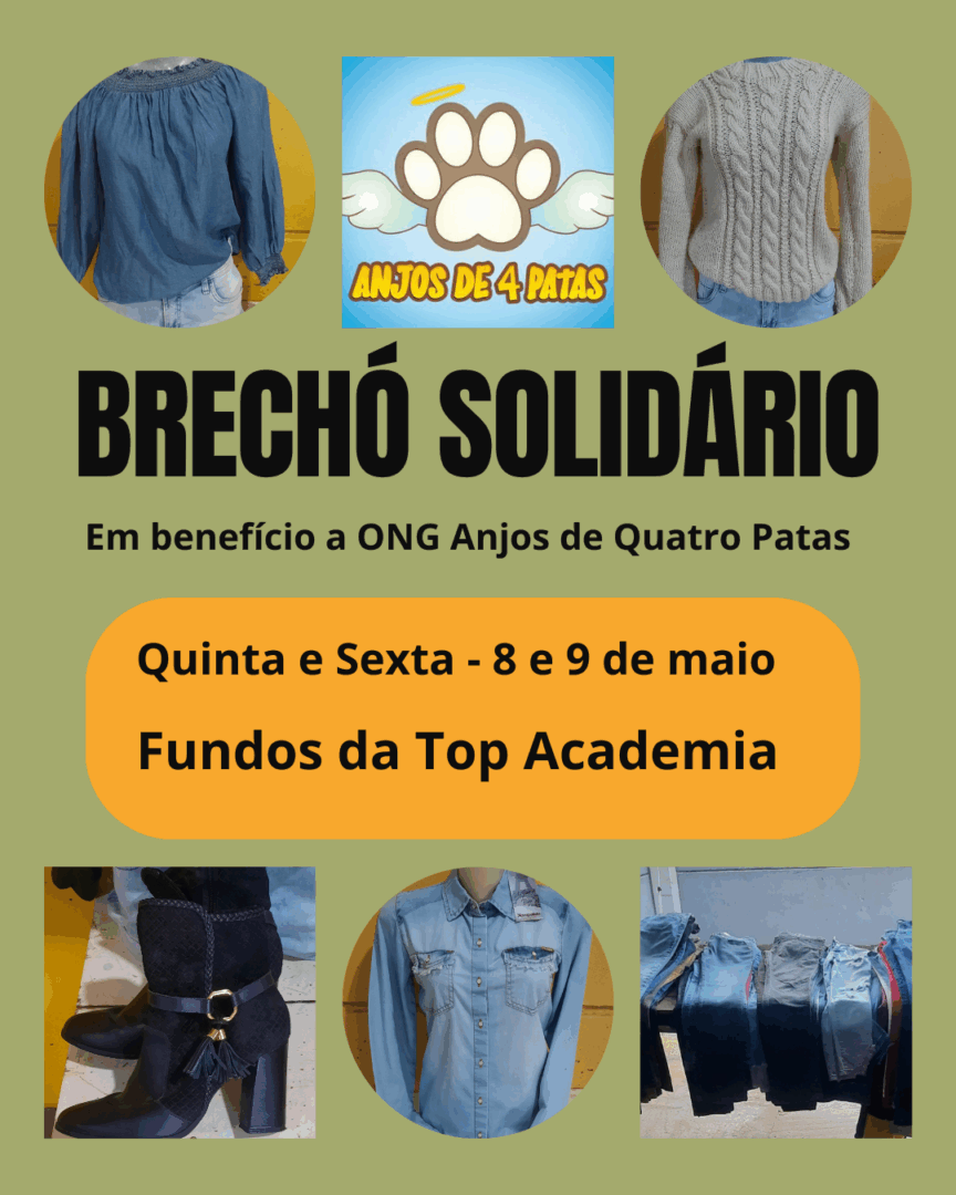 Instagram post liquidação de inverno brechó vintage moderno verde