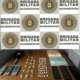 13 - tupa