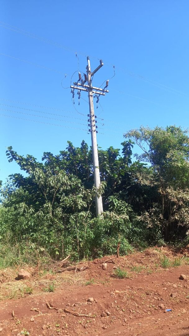 645724671_1349657876968389_4676633574259509064_n