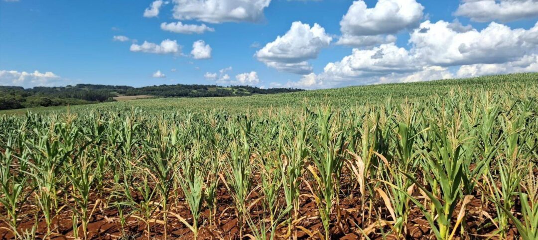 651710729_1363102305623946_8428913350839125970_n